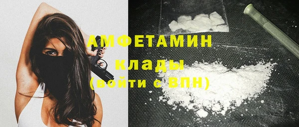 ПСИЛОЦИБИНОВЫЕ ГРИБЫ Алзамай